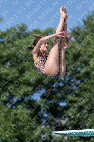 2017 - 8. Sofia Diving Cup 2017 - 8. Sofia Diving Cup 03012_13942.jpg