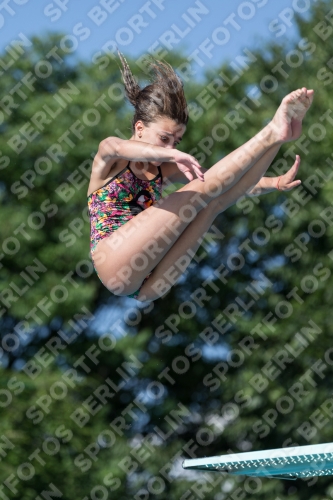 2017 - 8. Sofia Diving Cup 2017 - 8. Sofia Diving Cup 03012_13943.jpg