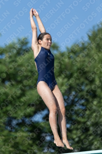 2017 - 8. Sofia Diving Cup 2017 - 8. Sofia Diving Cup 03012_13949.jpg