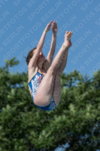 2017 - 8. Sofia Diving Cup 2017 - 8. Sofia Diving Cup 03012_13980.jpg