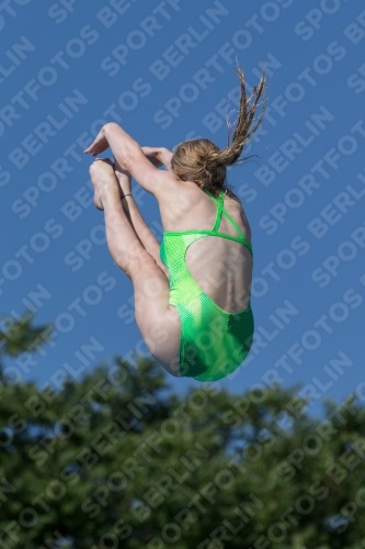 2017 - 8. Sofia Diving Cup 2017 - 8. Sofia Diving Cup 03012_13986.jpg