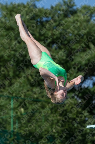 2017 - 8. Sofia Diving Cup 2017 - 8. Sofia Diving Cup 03012_13987.jpg