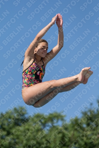 2017 - 8. Sofia Diving Cup 2017 - 8. Sofia Diving Cup 03012_13999.jpg