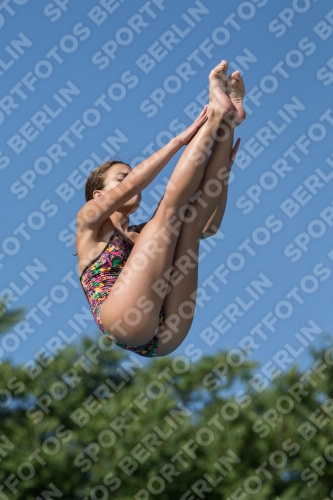 2017 - 8. Sofia Diving Cup 2017 - 8. Sofia Diving Cup 03012_14001.jpg