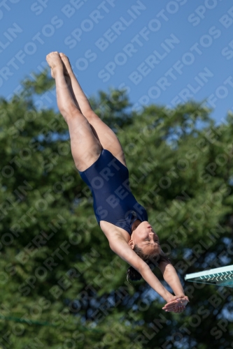 2017 - 8. Sofia Diving Cup 2017 - 8. Sofia Diving Cup 03012_14002.jpg