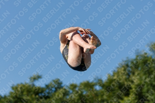 2017 - 8. Sofia Diving Cup 2017 - 8. Sofia Diving Cup 03012_14016.jpg