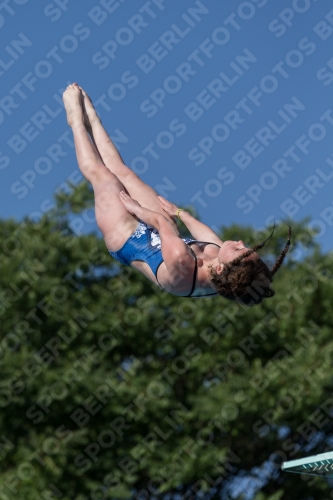 2017 - 8. Sofia Diving Cup 2017 - 8. Sofia Diving Cup 03012_14022.jpg