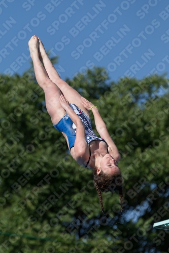 2017 - 8. Sofia Diving Cup 2017 - 8. Sofia Diving Cup 03012_14023.jpg