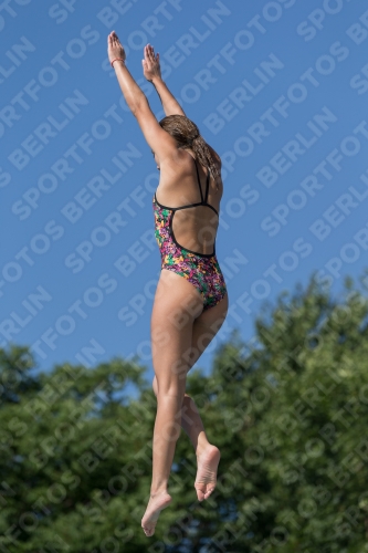 2017 - 8. Sofia Diving Cup 2017 - 8. Sofia Diving Cup 03012_14039.jpg