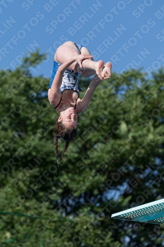 2017 - 8. Sofia Diving Cup 2017 - 8. Sofia Diving Cup 03012_14046.jpg