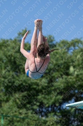 2017 - 8. Sofia Diving Cup 2017 - 8. Sofia Diving Cup 03012_14047.jpg