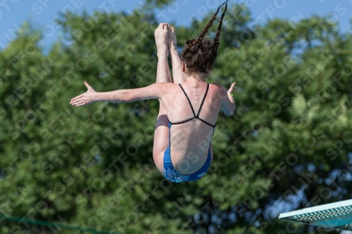 2017 - 8. Sofia Diving Cup 2017 - 8. Sofia Diving Cup 03012_14048.jpg