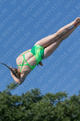 2017 - 8. Sofia Diving Cup 2017 - 8. Sofia Diving Cup 03012_14069.jpg
