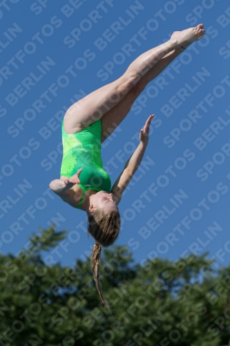 2017 - 8. Sofia Diving Cup 2017 - 8. Sofia Diving Cup 03012_14071.jpg