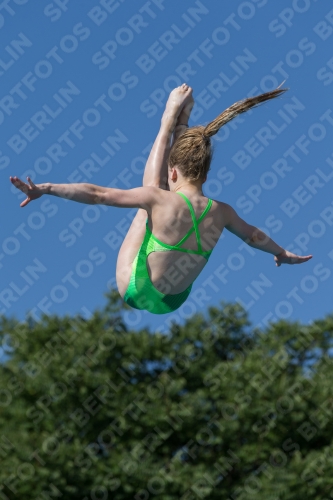 2017 - 8. Sofia Diving Cup 2017 - 8. Sofia Diving Cup 03012_14072.jpg