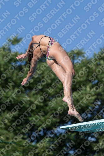 2017 - 8. Sofia Diving Cup 2017 - 8. Sofia Diving Cup 03012_14083.jpg