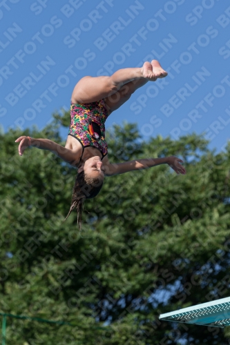 2017 - 8. Sofia Diving Cup 2017 - 8. Sofia Diving Cup 03012_14085.jpg