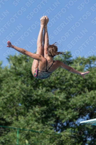 2017 - 8. Sofia Diving Cup 2017 - 8. Sofia Diving Cup 03012_14086.jpg