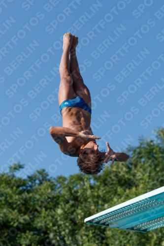 2017 - 8. Sofia Diving Cup 2017 - 8. Sofia Diving Cup 03012_14089.jpg