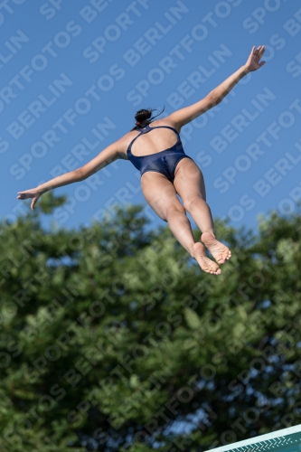 2017 - 8. Sofia Diving Cup 2017 - 8. Sofia Diving Cup 03012_14102.jpg