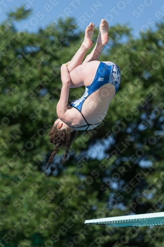 2017 - 8. Sofia Diving Cup 2017 - 8. Sofia Diving Cup 03012_14108.jpg