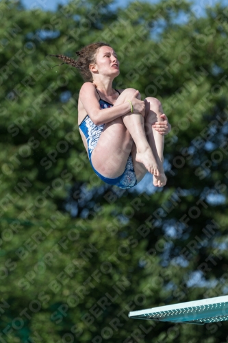 2017 - 8. Sofia Diving Cup 2017 - 8. Sofia Diving Cup 03012_14109.jpg