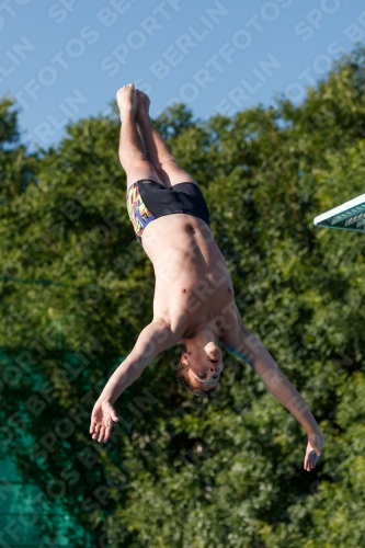 2017 - 8. Sofia Diving Cup 2017 - 8. Sofia Diving Cup 03012_14114.jpg