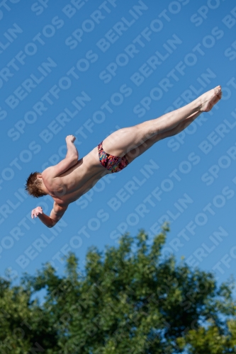2017 - 8. Sofia Diving Cup 2017 - 8. Sofia Diving Cup 03012_14179.jpg