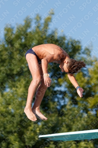 2017 - 8. Sofia Diving Cup 2017 - 8. Sofia Diving Cup 03012_14222.jpg