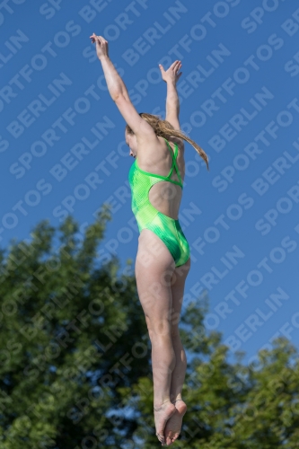 2017 - 8. Sofia Diving Cup 2017 - 8. Sofia Diving Cup 03012_14246.jpg