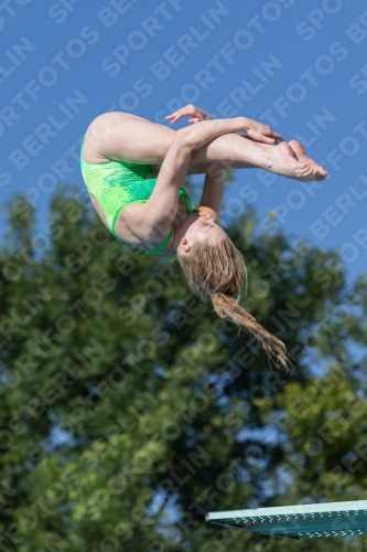 2017 - 8. Sofia Diving Cup 2017 - 8. Sofia Diving Cup 03012_14248.jpg