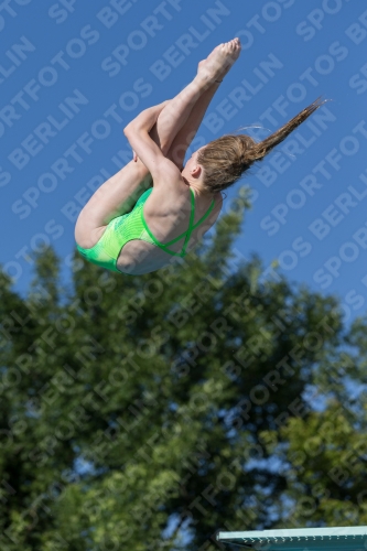 2017 - 8. Sofia Diving Cup 2017 - 8. Sofia Diving Cup 03012_14249.jpg