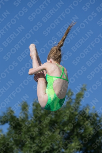 2017 - 8. Sofia Diving Cup 2017 - 8. Sofia Diving Cup 03012_14250.jpg