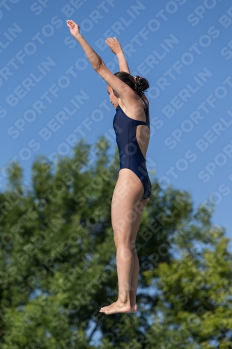 2017 - 8. Sofia Diving Cup 2017 - 8. Sofia Diving Cup 03012_14278.jpg