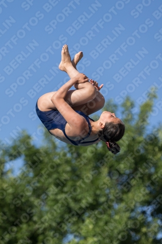 2017 - 8. Sofia Diving Cup 2017 - 8. Sofia Diving Cup 03012_14279.jpg