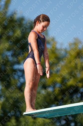 2017 - 8. Sofia Diving Cup 2017 - 8. Sofia Diving Cup 03012_14312.jpg