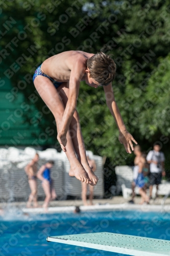 2017 - 8. Sofia Diving Cup 2017 - 8. Sofia Diving Cup 03012_14342.jpg