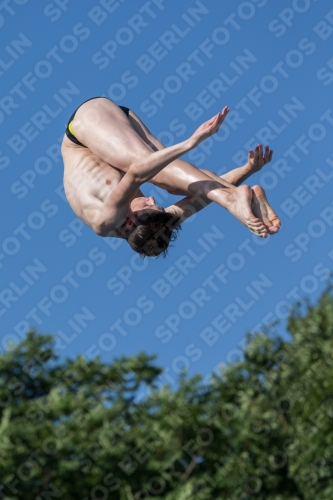 2017 - 8. Sofia Diving Cup 2017 - 8. Sofia Diving Cup 03012_14433.jpg