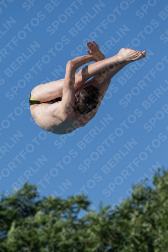 2017 - 8. Sofia Diving Cup 2017 - 8. Sofia Diving Cup 03012_14434.jpg