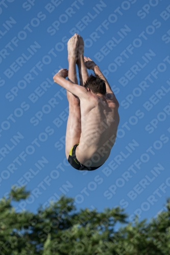 2017 - 8. Sofia Diving Cup 2017 - 8. Sofia Diving Cup 03012_14436.jpg