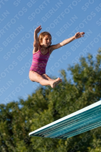 2017 - 8. Sofia Diving Cup 2017 - 8. Sofia Diving Cup 03012_14442.jpg