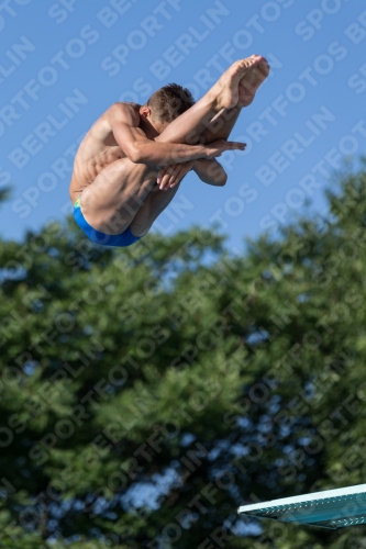 2017 - 8. Sofia Diving Cup 2017 - 8. Sofia Diving Cup 03012_14466.jpg