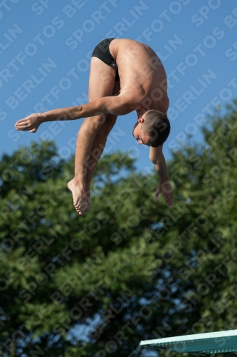 2017 - 8. Sofia Diving Cup 2017 - 8. Sofia Diving Cup 03012_14473.jpg