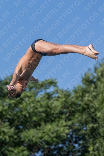 2017 - 8. Sofia Diving Cup 2017 - 8. Sofia Diving Cup 03012_14495.jpg