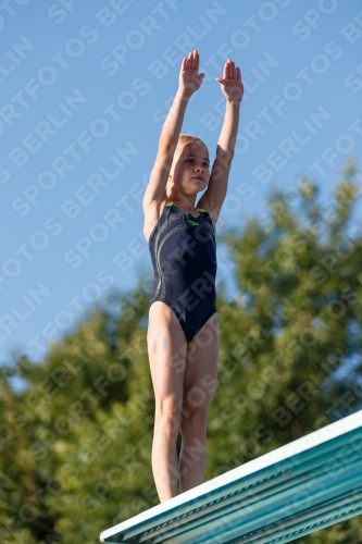 2017 - 8. Sofia Diving Cup 2017 - 8. Sofia Diving Cup 03012_14508.jpg