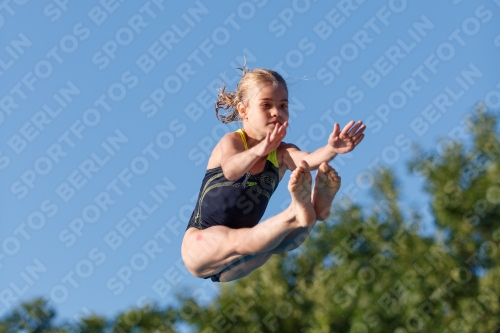 2017 - 8. Sofia Diving Cup 2017 - 8. Sofia Diving Cup 03012_14510.jpg