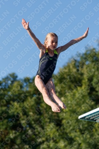 2017 - 8. Sofia Diving Cup 2017 - 8. Sofia Diving Cup 03012_14513.jpg