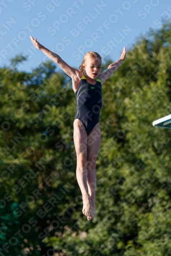 2017 - 8. Sofia Diving Cup 2017 - 8. Sofia Diving Cup 03012_14515.jpg