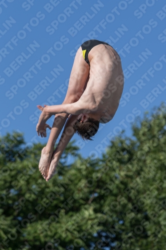2017 - 8. Sofia Diving Cup 2017 - 8. Sofia Diving Cup 03012_14524.jpg