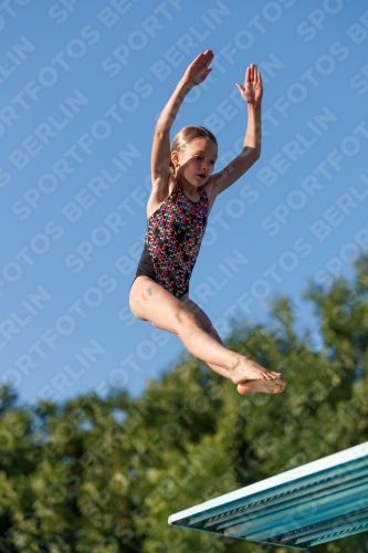 2017 - 8. Sofia Diving Cup 2017 - 8. Sofia Diving Cup 03012_14530.jpg